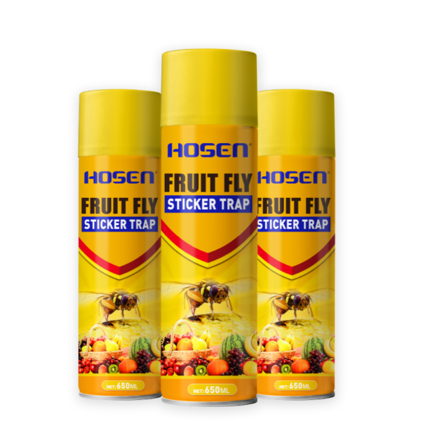 Fruit fly attractant adhesive